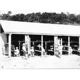 Boys working at the milking shed at the Townsville orphanage, October 1911