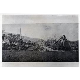 The Townsville Botanical Gardens after Cyclone Leonta, Townsville, 1903