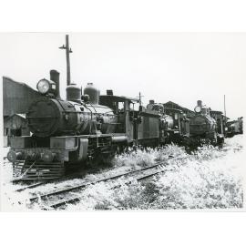 Old steam locomotives, South Townsville, 15th January 1969