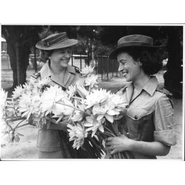 Lillies to be used in decorating the mess of the 66 AWAS Barracks, Townsville, 30th March 1945