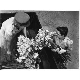 Armfuls of Lilies to decorate the mess of the 66 AWAS Barracks, Townsville, 30th March 1945