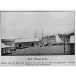 Johnson collection : S. F. Walker and Co., Townsville