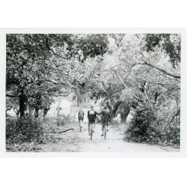 Cyclone damage, Queens Gardens, Townsville, 1940