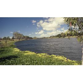 Ross River, Townsville, 1991