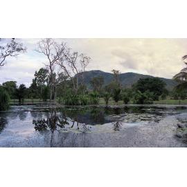The Palmetum, University Road, Douglas, Townsville, 1991