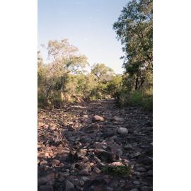 Bushland around Mount Stuart, Townsville, 1991
