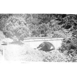 Mount Spec, Crystal Creek bridge as seen from Mount Spec Roadway, ca 1930 