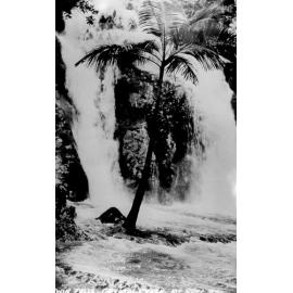 Paluma, Twin Falls at Crystal Creek, ca 1930 