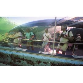 The fish's eye view. The Great Barrier Reef Wonderland aquarium, Townsville, 1991
