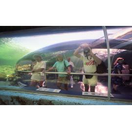 The fish's eye view. The Great Barrier Reef Wonderland aquarium, Townsville, 1991