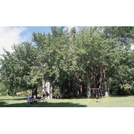 Playground in Queens Gardens, North Ward, Townsville, 1991