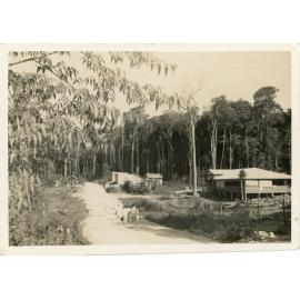 Mount Spec, 1939