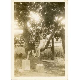 Family photograph from the Quelch Forno collection : Two young girls posing near a tree for a photograph
