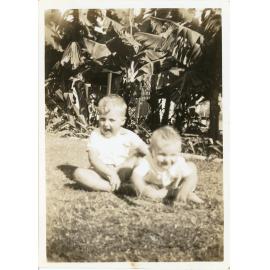 Family photograph from the Quelch Forno collection : Toddler and baby sitting on the grass, 5 November 1946