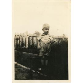 Family photograph from the Quelch Forno collection : Toddler boy, photographed 1938