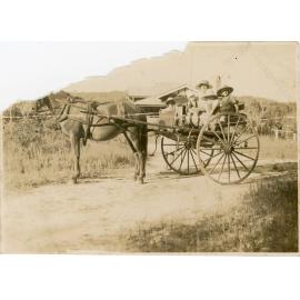 Family photograph from the Quelch Forno collection : Woman and four young children aboard a horse and sulky