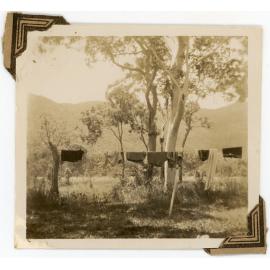 Family photograph from the Quelch Forno collection : Clothes on a clothesline