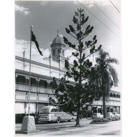 Christmas tree in Flinders Street, Townsville, 11 December 1967