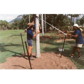 Palm tree relocation, Townsville Palmetum, [between 1982-2002]