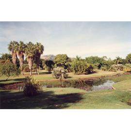 View of Anderson Park Botanic Gardens, Mundingburra, Townsville, [between 1982-2002]
