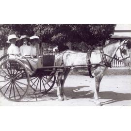 Myra Rendle with sisters Ella and Blanche at "the Green", Alexander St., Townsville, ca.1905