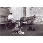 Myra Rendle (right) with a friend at the home of Mrs Ross, Stanton Hill, Townsville, September 1905
