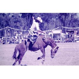 Possum Paddock rodeo, Townsville 1978