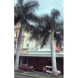 Palm trees on Flinders Street East, Townsville, 1984