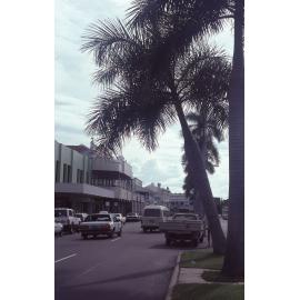 Palm trees on Flinders Street East, Townsville, 1984