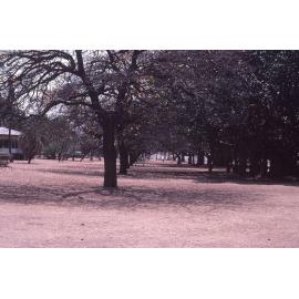 View of ANZAC Park near the Bandstand, Townsville, October 1985