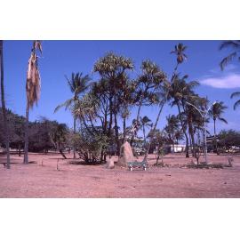 View of ANZAC Park, the Strand, Townsville, October 1985