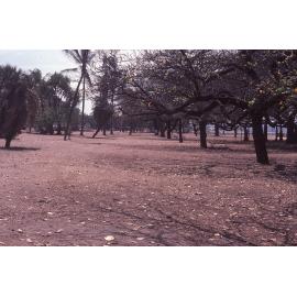 View of ANZAC Park, the Strand, Townsville, October 1985