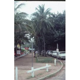 Trees on Magnetic Island, August 1985