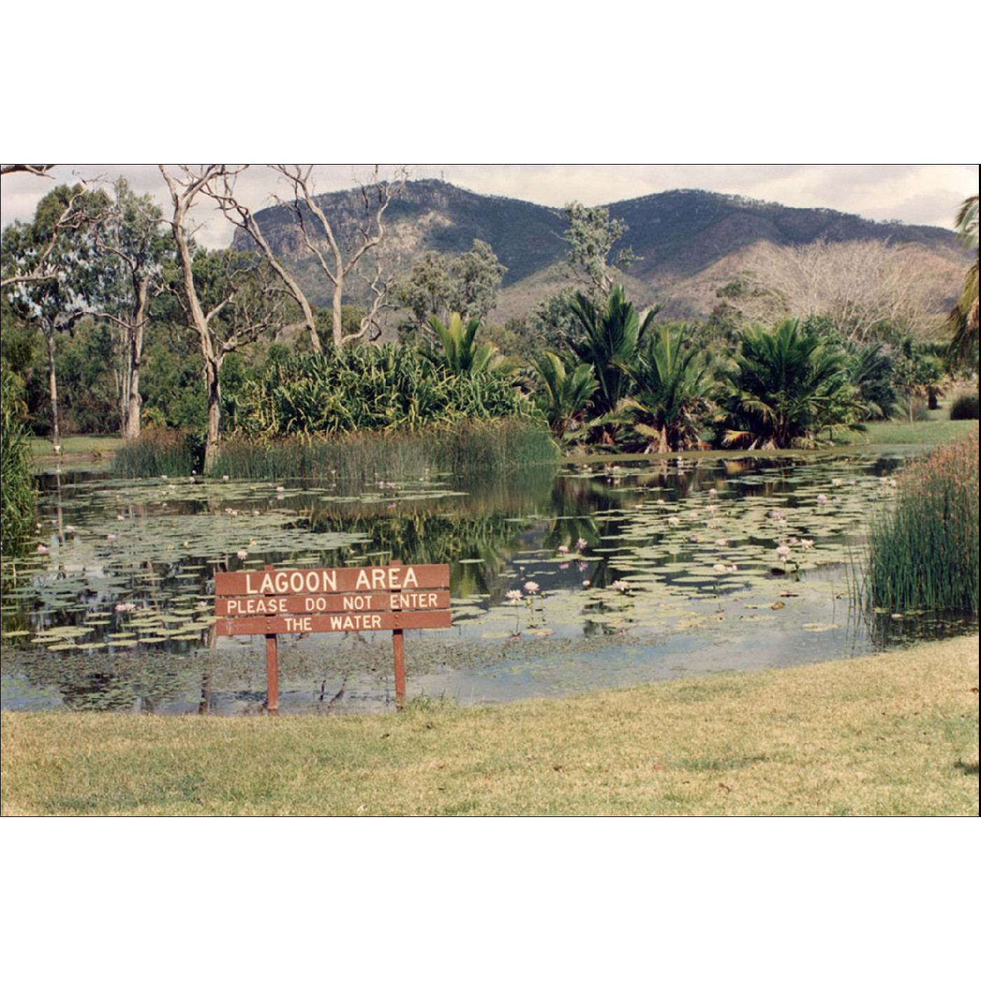 Palmetum