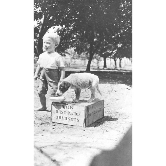 Ernie Kelso with dog, Laudham Park, ca 1918