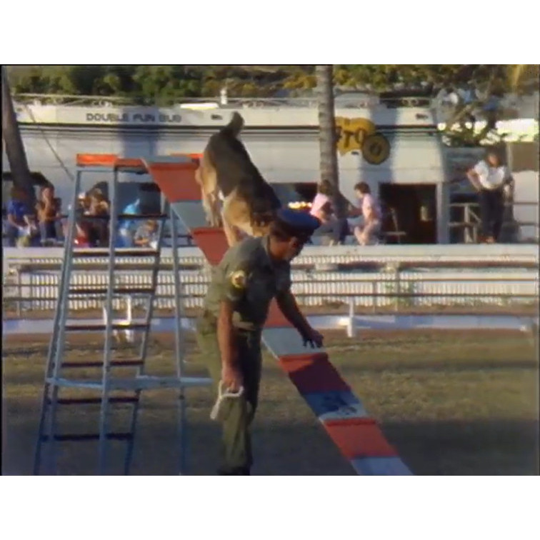 NQ News - Townsville Show People's Day 