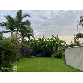 Backyard pre-Cyclone Kirrily