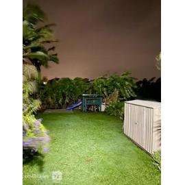 Backyard during Cyclone Kirrily