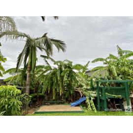 Damage to garden caused by Cyclone Kirrily