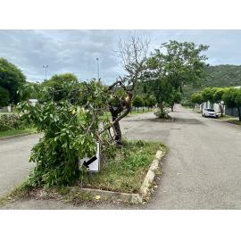 Damage on Church Street, West End caused by Cyclone Kirrily