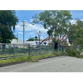 News cameraman filming downed tree across power lines and railway tracks on Ingham Road, West End caused by Cyclone Kirrily