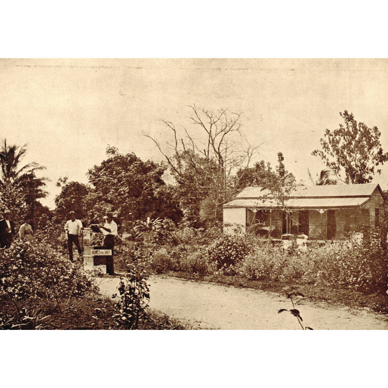 The Gullivers' travels: Thomas Allen Gulliver (1848-1931), Benjamin John Gulliver (1851-1938) and Susannah Gulliver (1857-1938) : their contribution to Australian natural history and horticulture