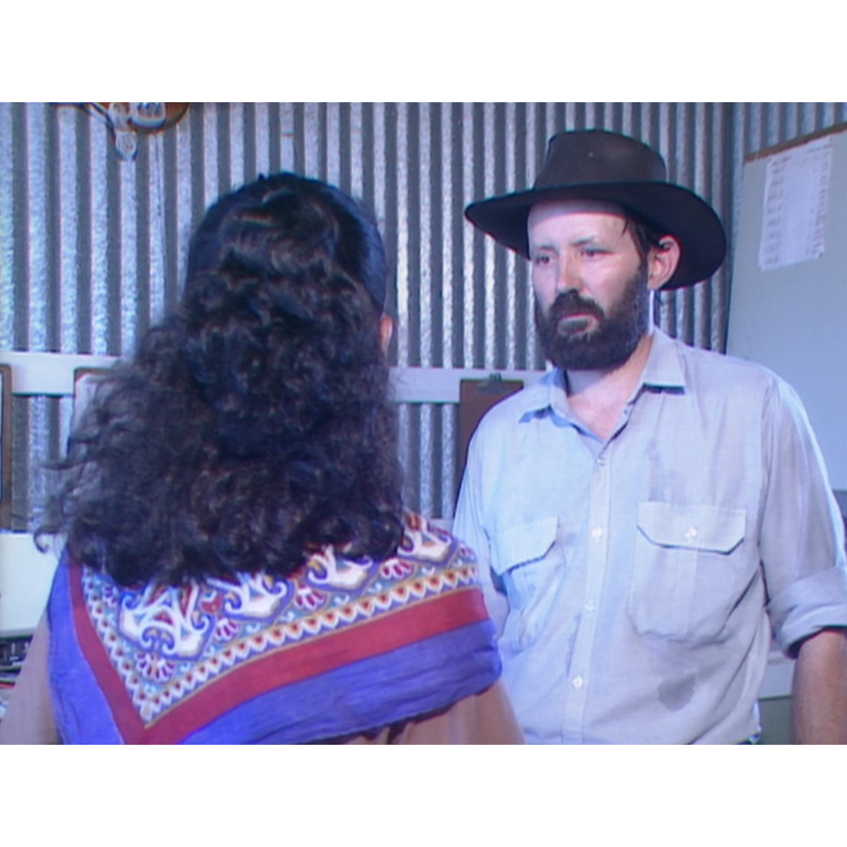 Feed supplements for beef cattle