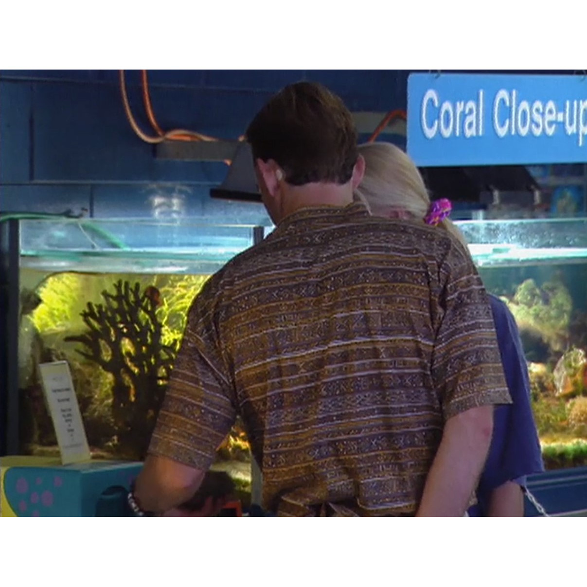 News file tape Reef Wonderland "R"