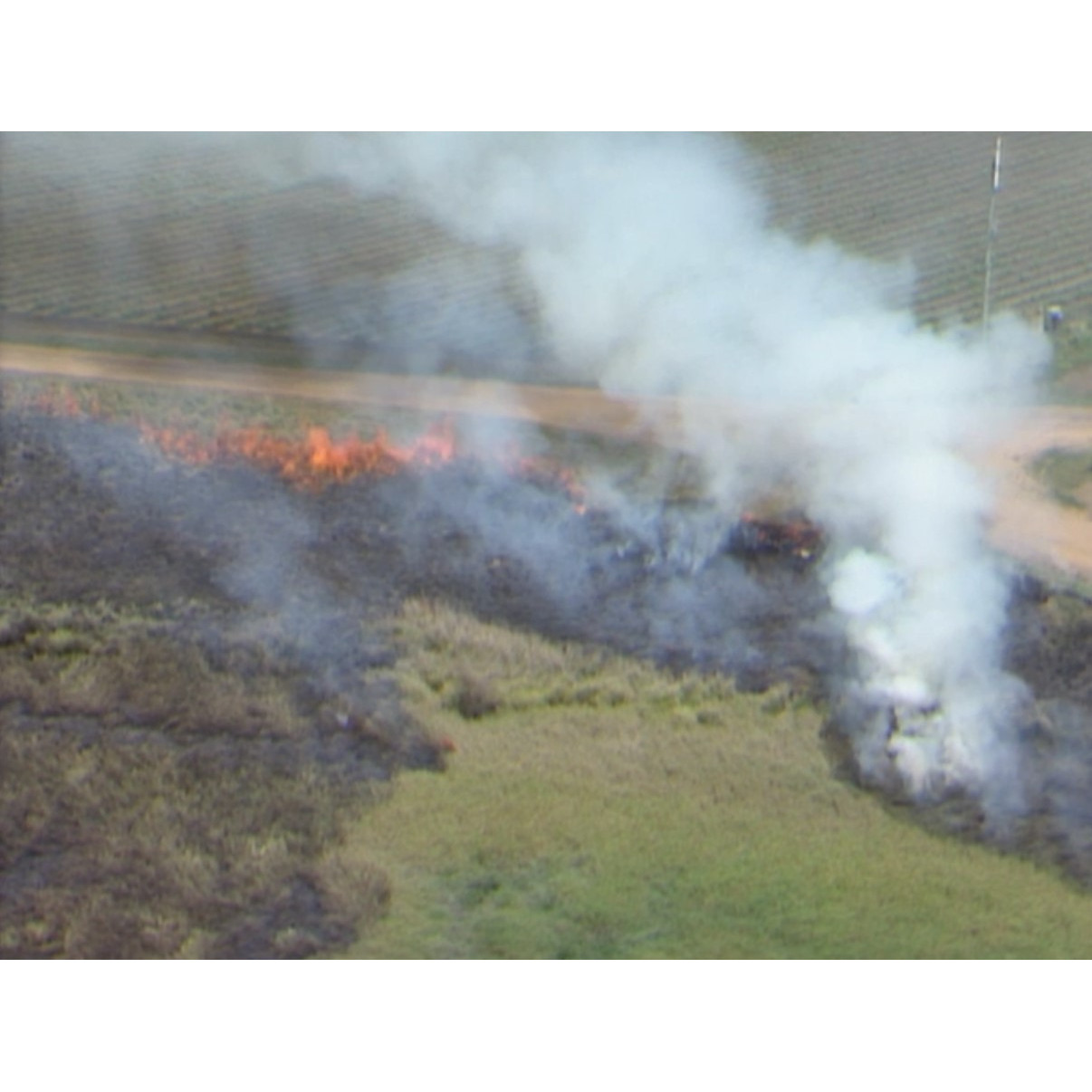 Newsweek - aerials of sugar cane, Giru and mill, Rita Is