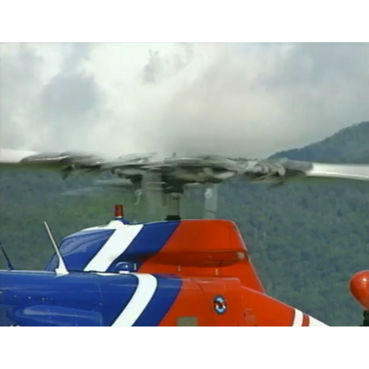 Thomas Chandler, teenager who drank jellyfish