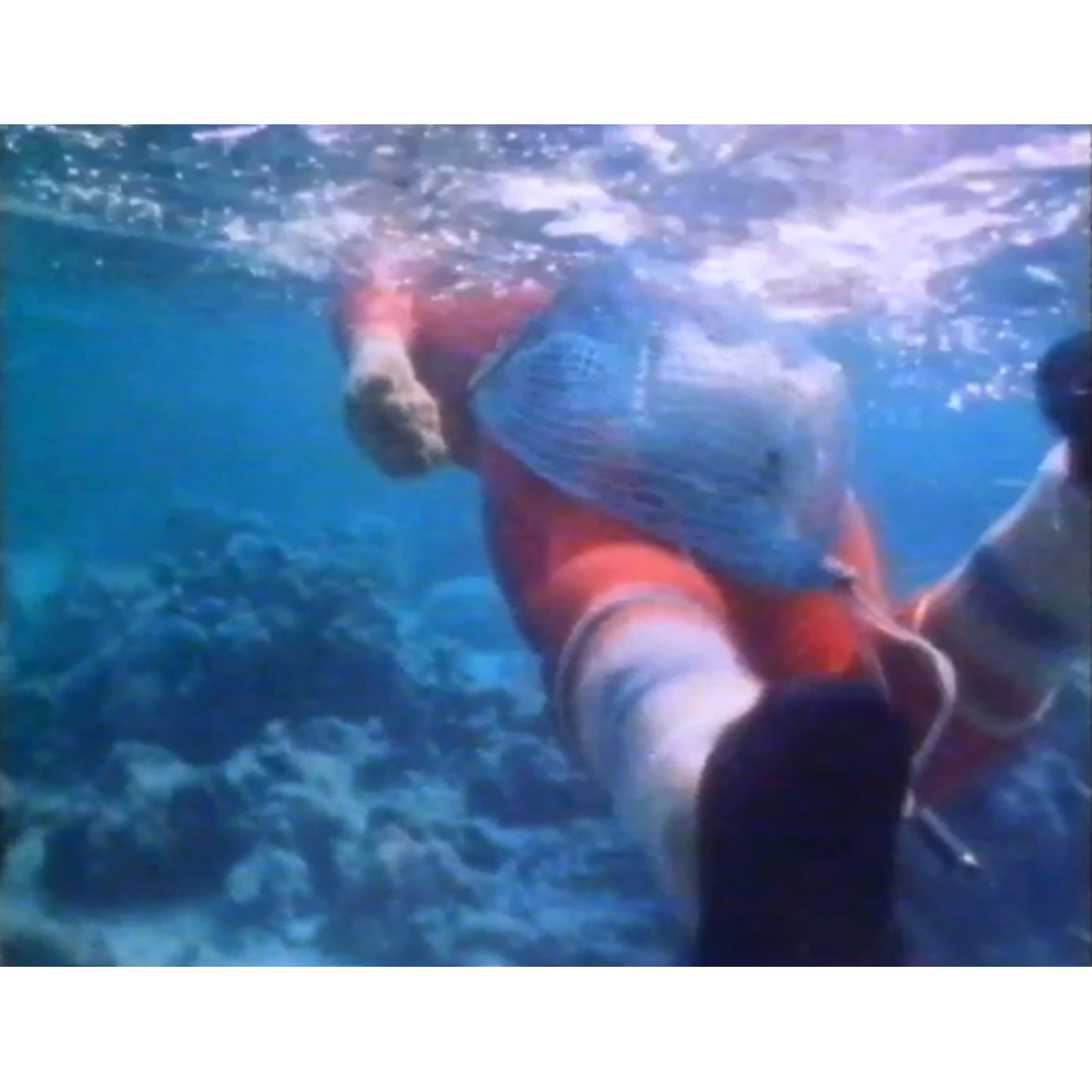 Giant clam poaching