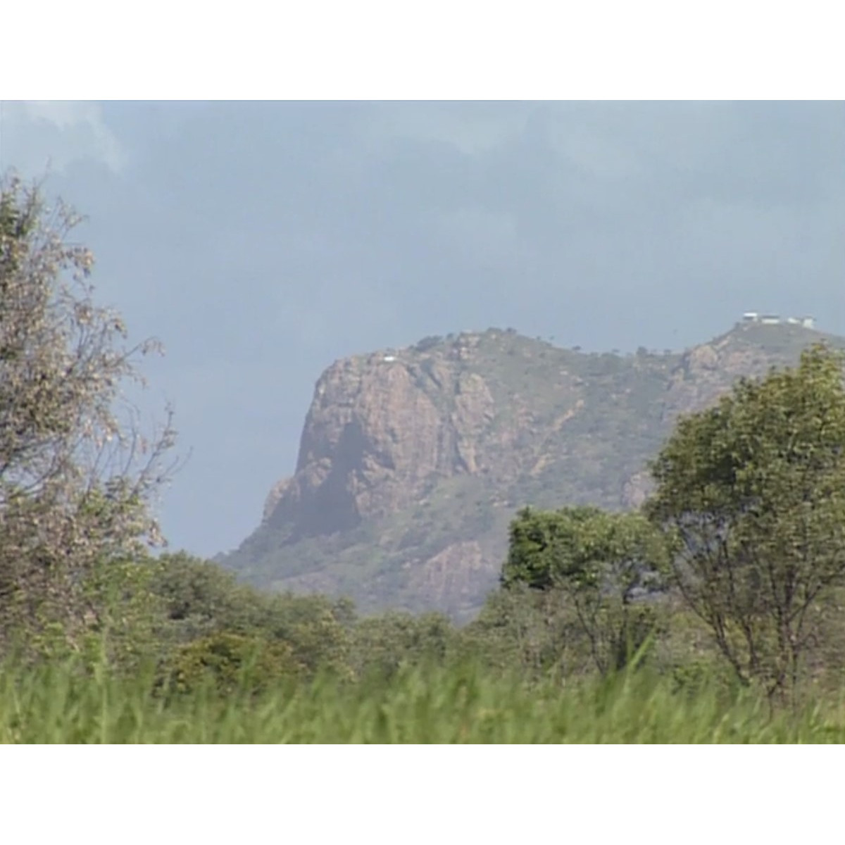 News file Town Common T29