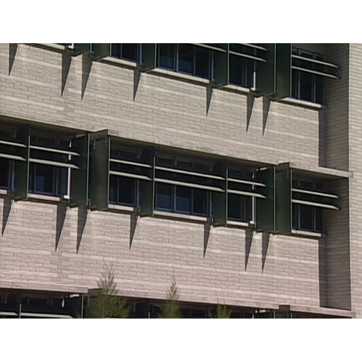 News file James Cook University J5