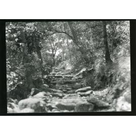 Arcadia to Nelly Bay track, Magnetic Island
